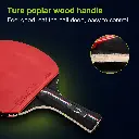 loki-kirin-2-star-poplar-handle-under-700kb.webp