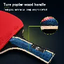 loki-kirin-3-star-poplar-handle-under-700kb.webp