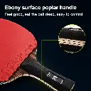 loki-kirin-5-star-ebony-handle-under-700kb.webp