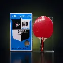 shield-brand-racket-packaging-1254 (1).webp