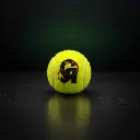 sportigo_ca_gold_tennis_cricket_ball_wide.webp