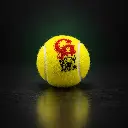 sportigo_ca_charged_ball_close.webp