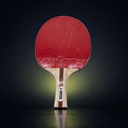 Champion Table Tennis Bat