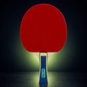 Butterfly Wakaba 1000 Table Tennis Racket