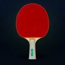 Butterfly Wakaba 3000 Table Tennis Racket